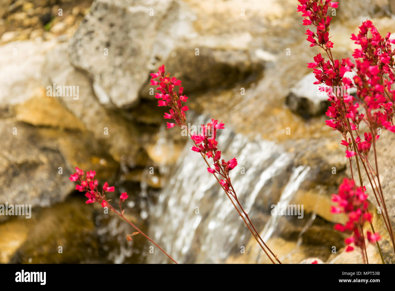 Rock garden and waterfall Stock Photo - Alamy