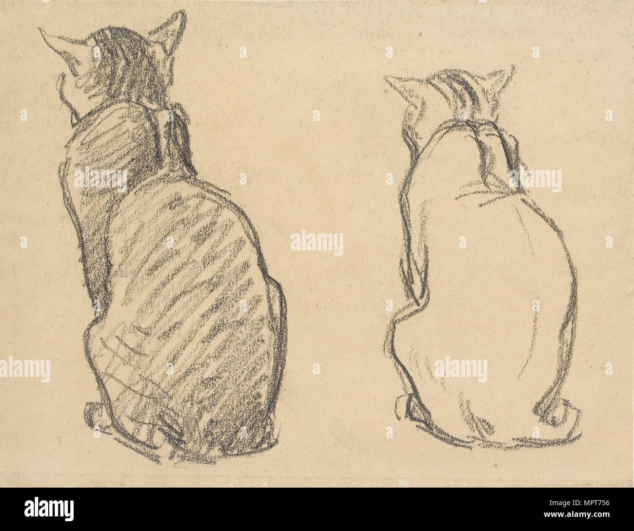 Two Studies of a Cat, early 20th century. Artist: Theophile Alexandre Steinlen. Stock Photo