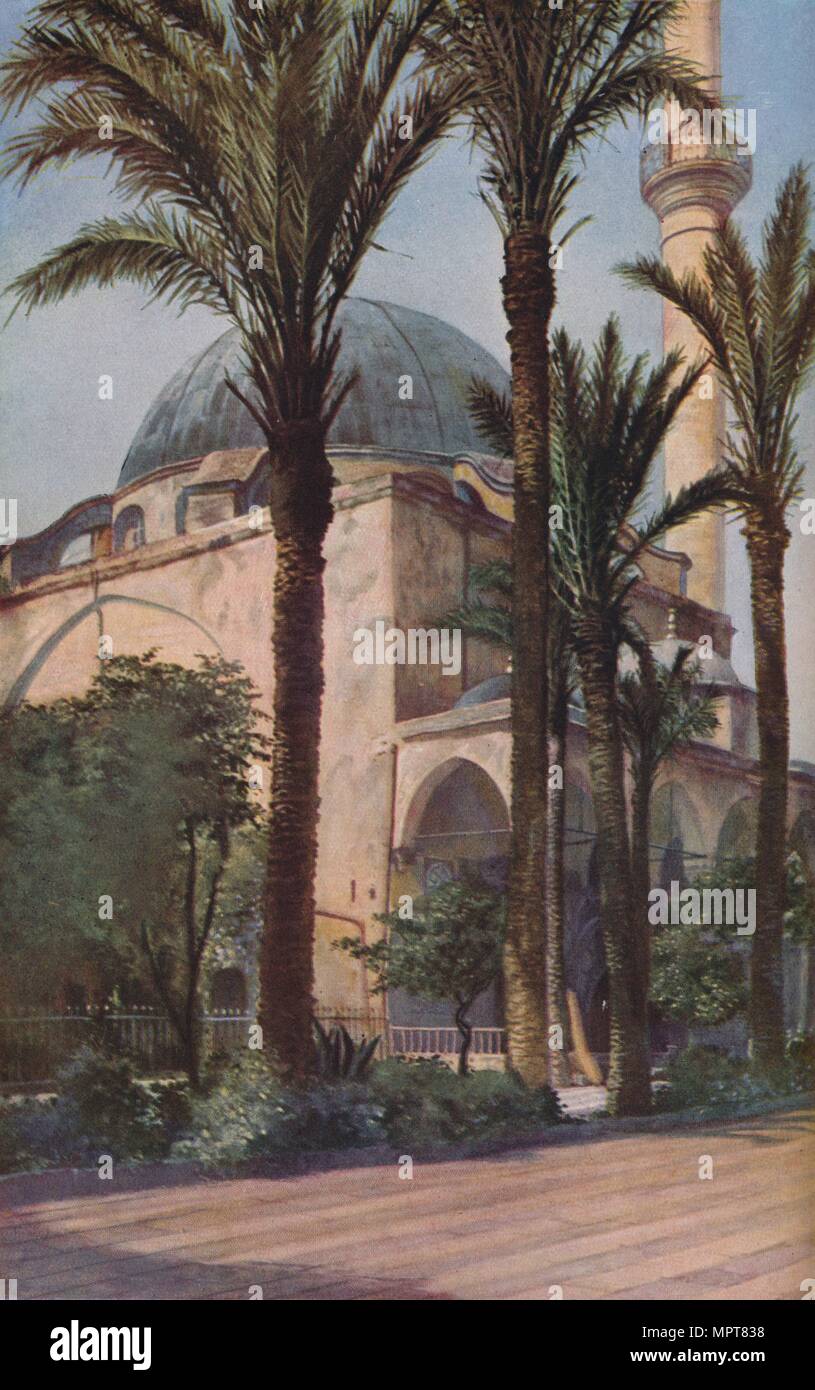 Palestine', c1930s. Artist Donald McLeish Stock Photo Alamy