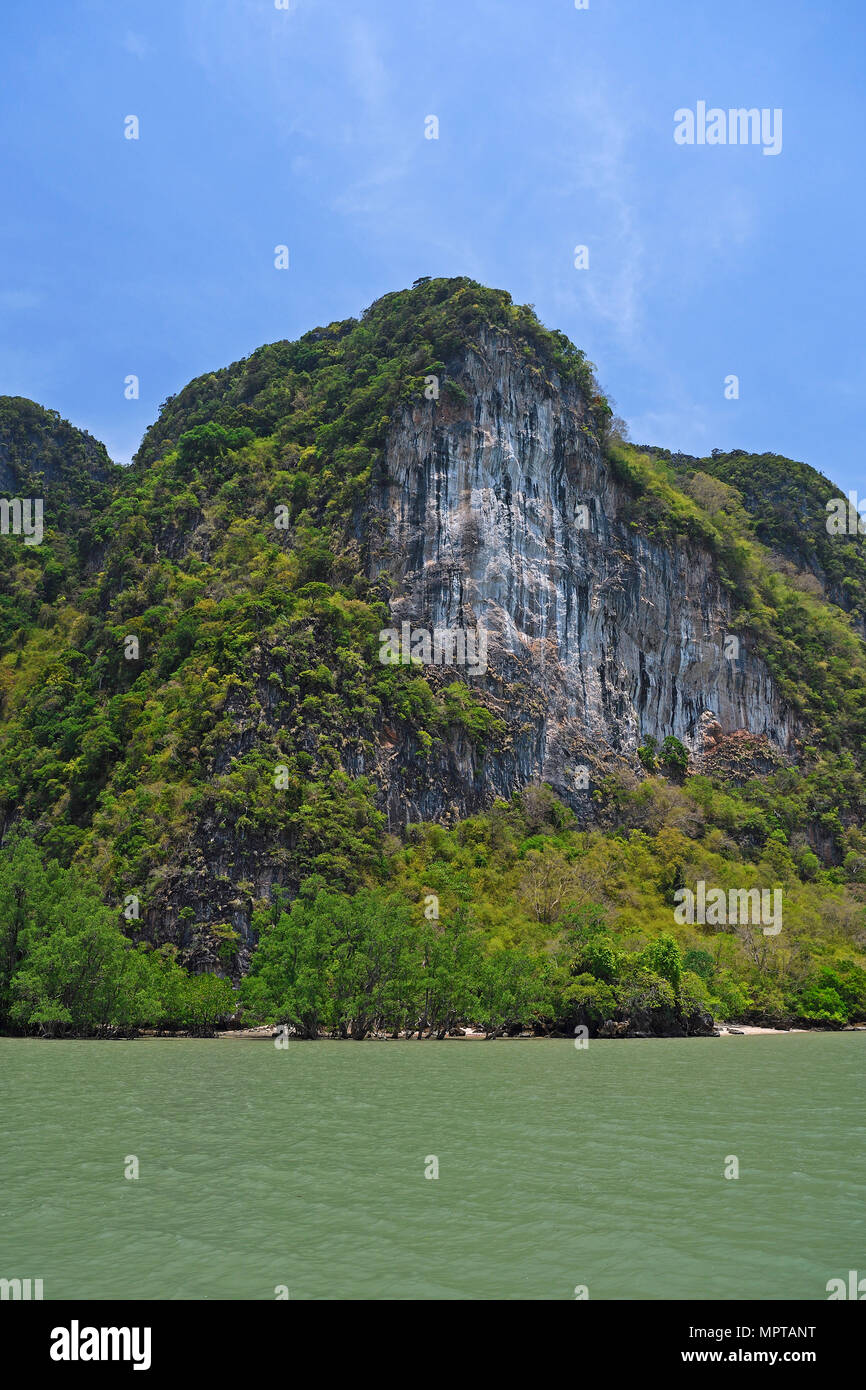 Overgrown limestone rocks in Phang Nga Bay, Ao Phang Nga Marine National Park, Thailand Stock Photo