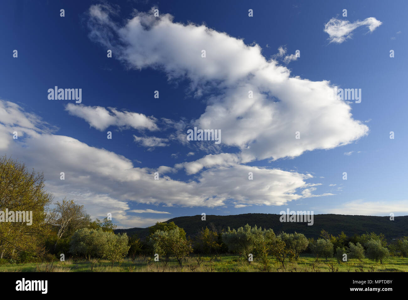 Herault Ciel Nuageux D Automne Cloudy Sky In Autumn Stock Photo Alamy