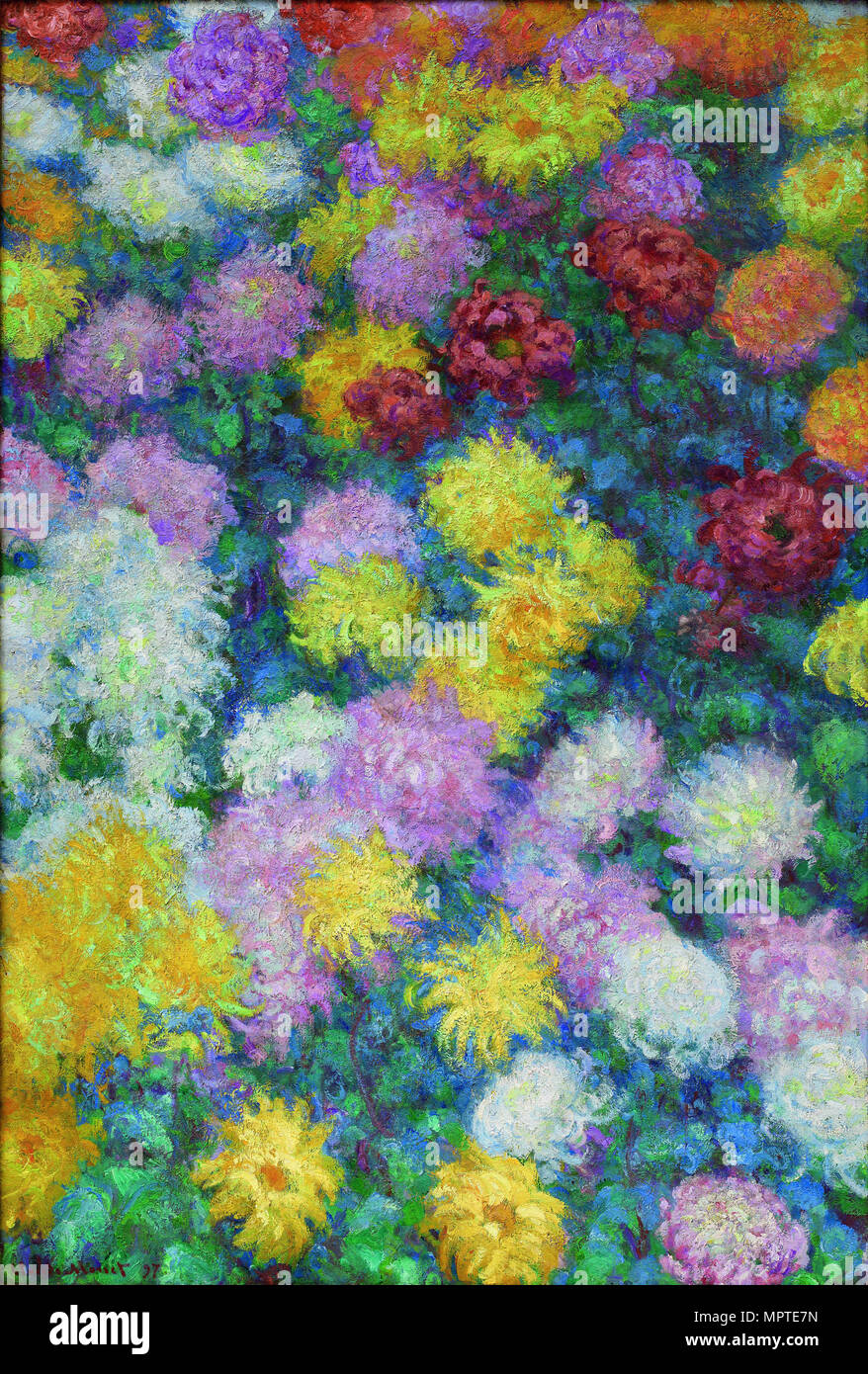 Chrysanthemums hires stock photography and images Alamy