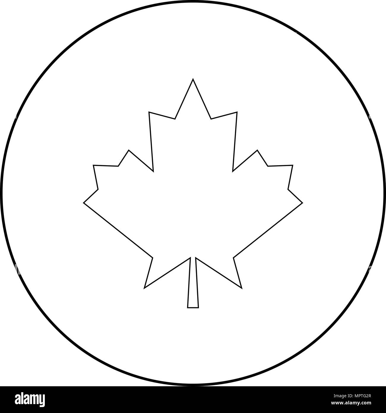 Canadian symbol the maple leaf Black and White Stock Photos & Images ...