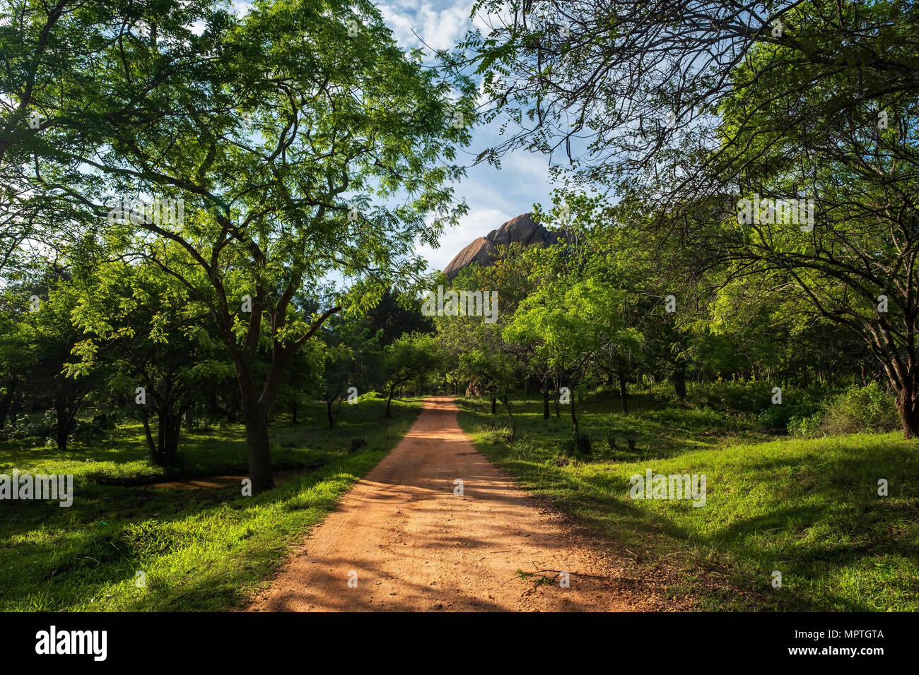 Walking trails in Mihintale, Sri Lanka Stock Photo