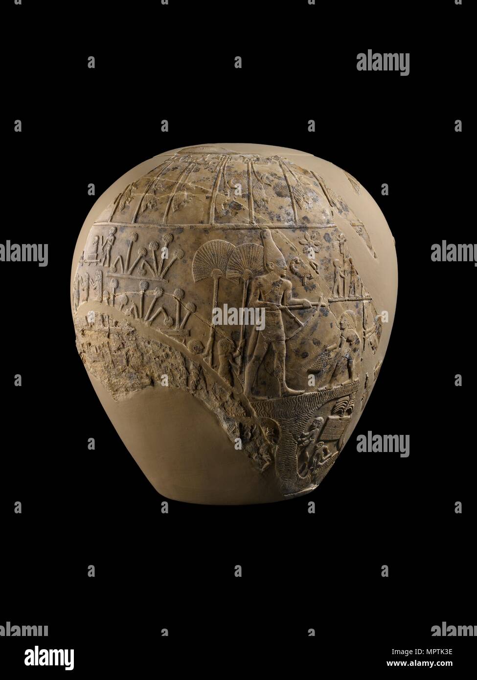 Scorpion macehead hires stock photography and images Alamy