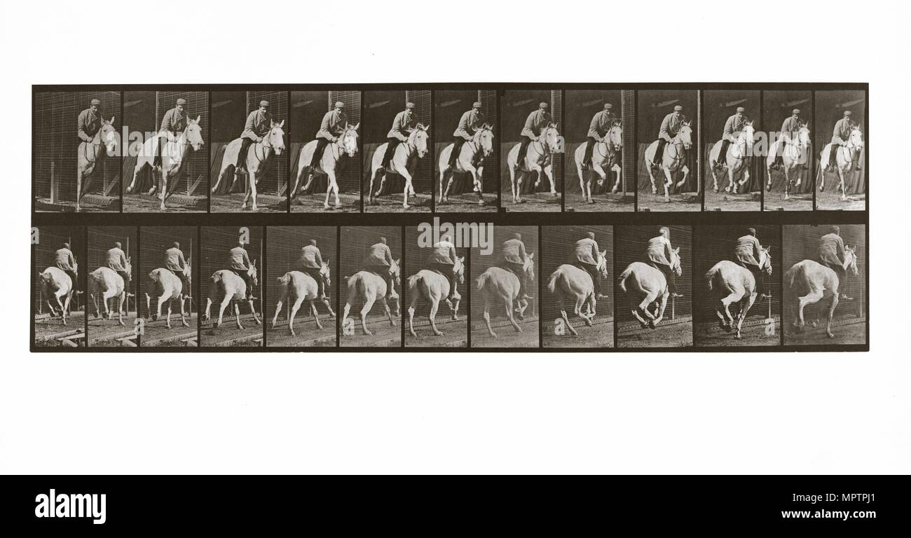 Galloping Horse with Rider, Plate 635 from Animal Locomotion, 1887 (photograph) Stock Photo