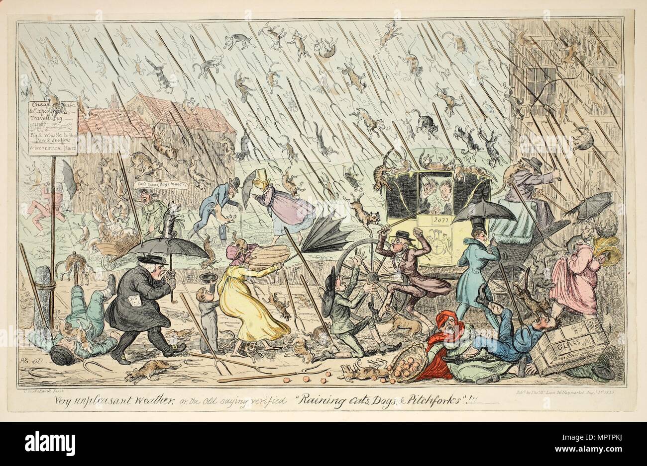Very Unpleasant Weather or the Old Saying verified 'Raining Cats, Dogs