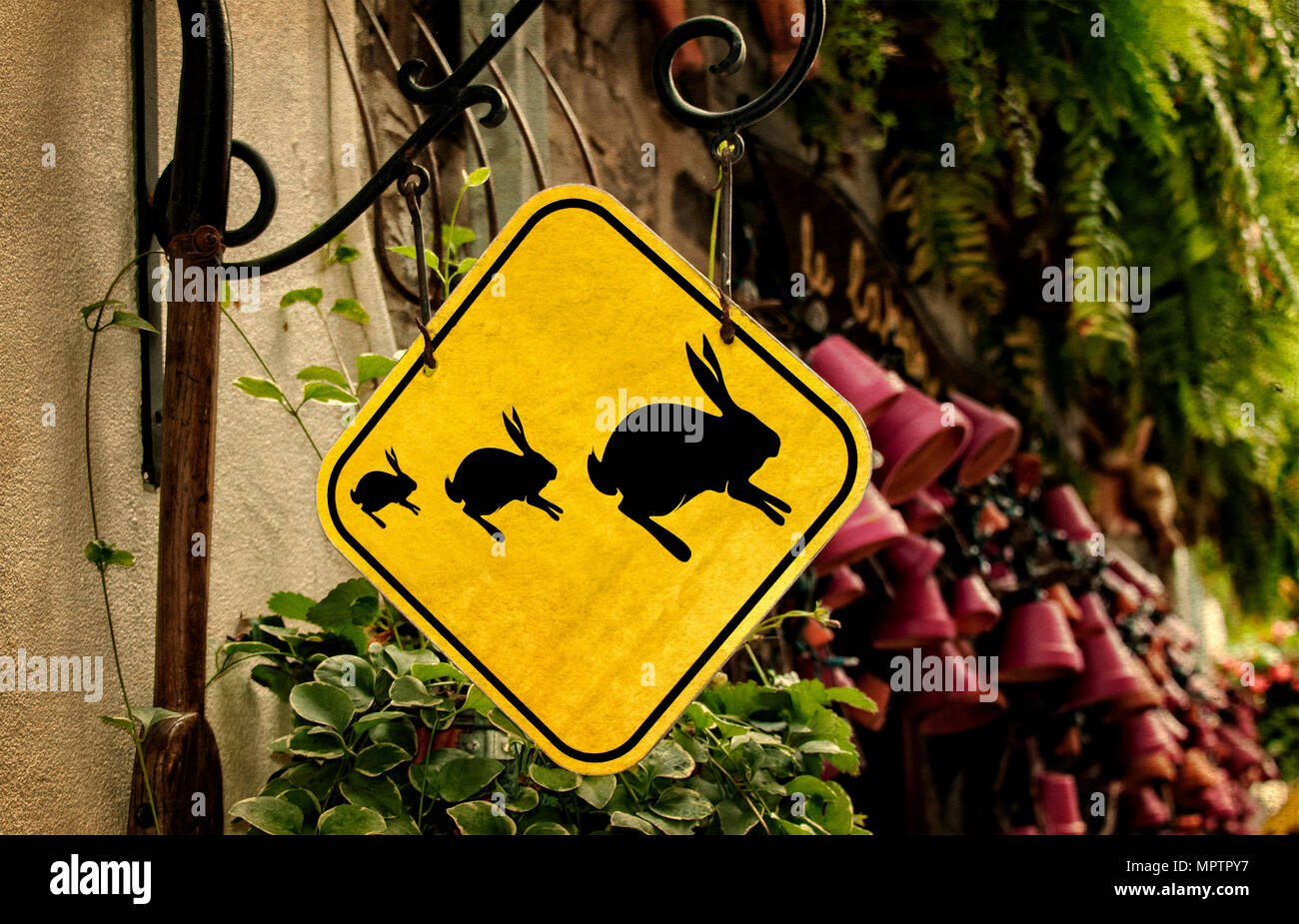 Animal crossing sign hires stock photography and images Alamy