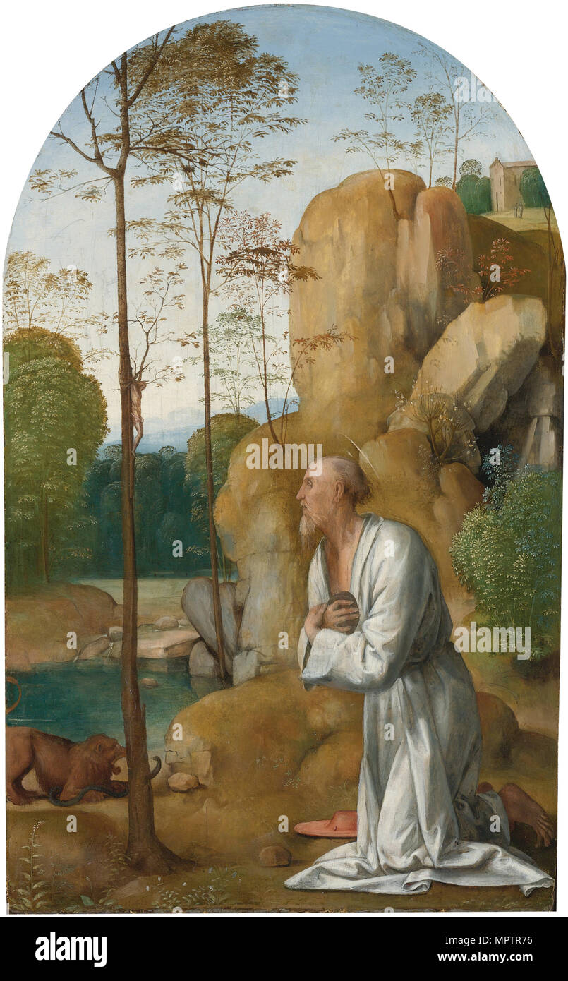 Saint Jerome in the Wilderness Stock Photo Alamy