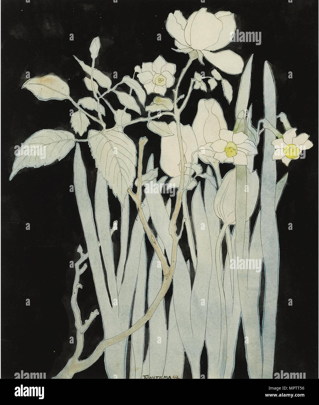 Roses and daffodils hires stock photography and images Alamy