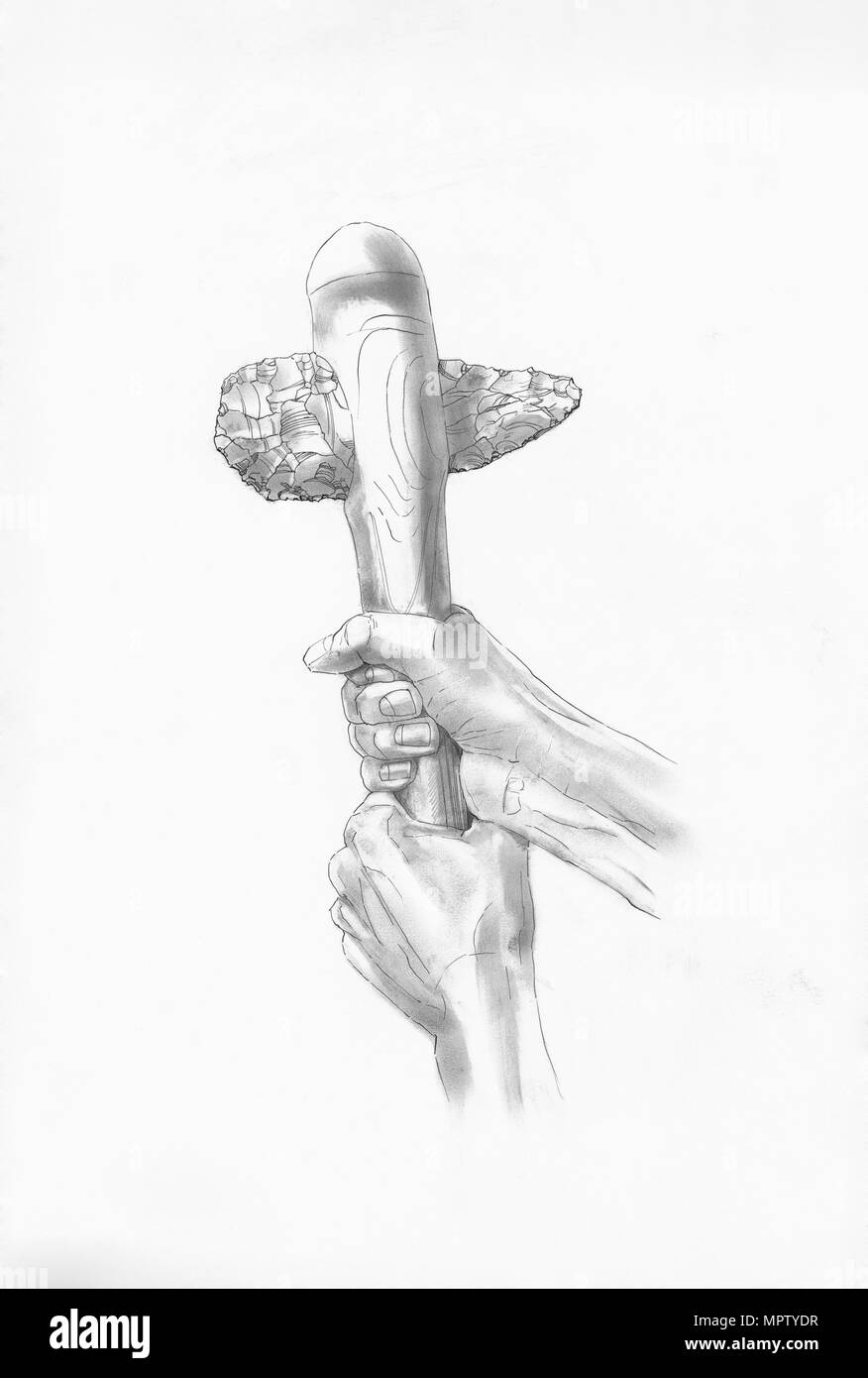 Neolithic flint axe. Artist: Judith Dobie. Stock Photo