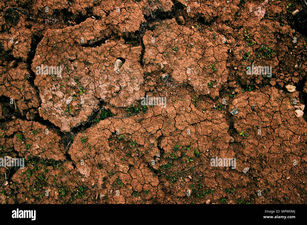 Clay soil. Clay earth. Dry soil. Soil background. Clay background. Red earth. Red soil. Soil texture. Stock Photo