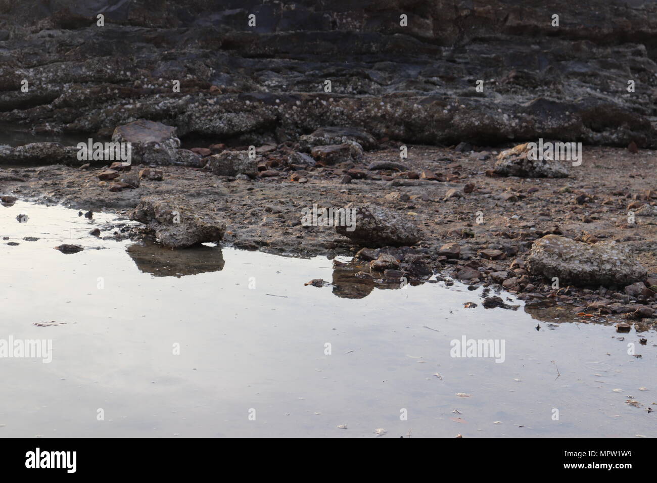 Rocks and stones by the sea Stock Photo - Alamy