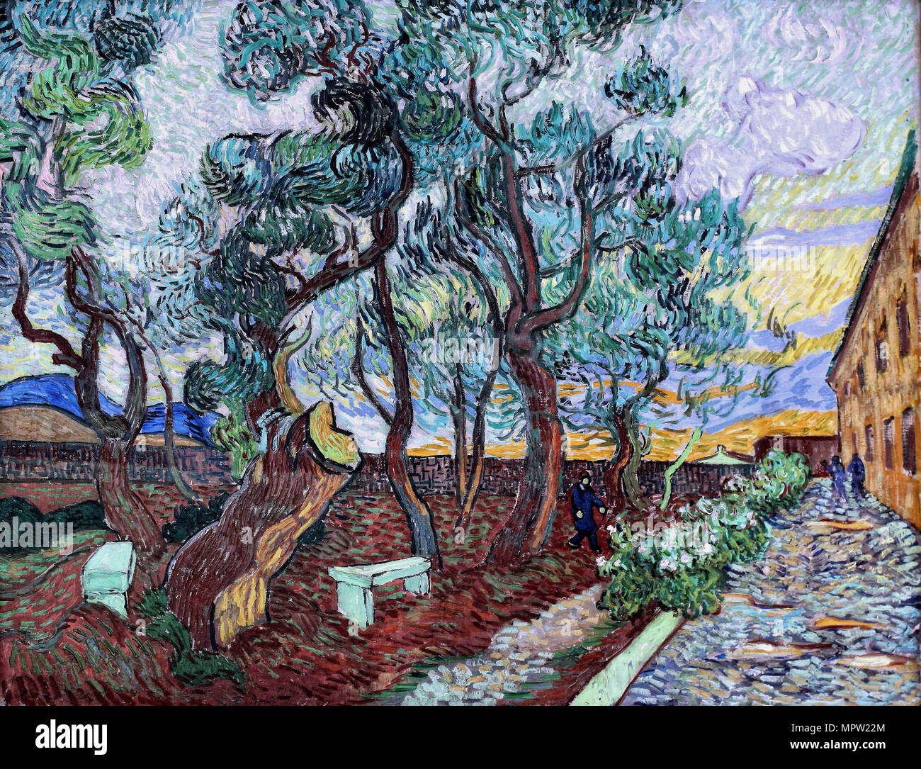 The garden of the hospital at SaintRémy, 1889 Stock Photo Alamy