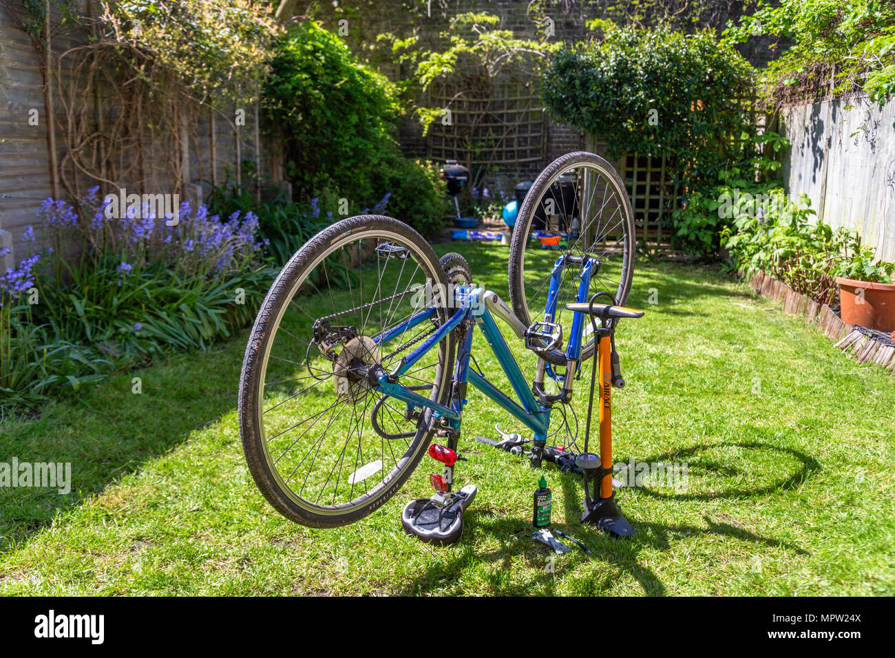 Bicycle maintenance and repair at home on the rear garden (backyard