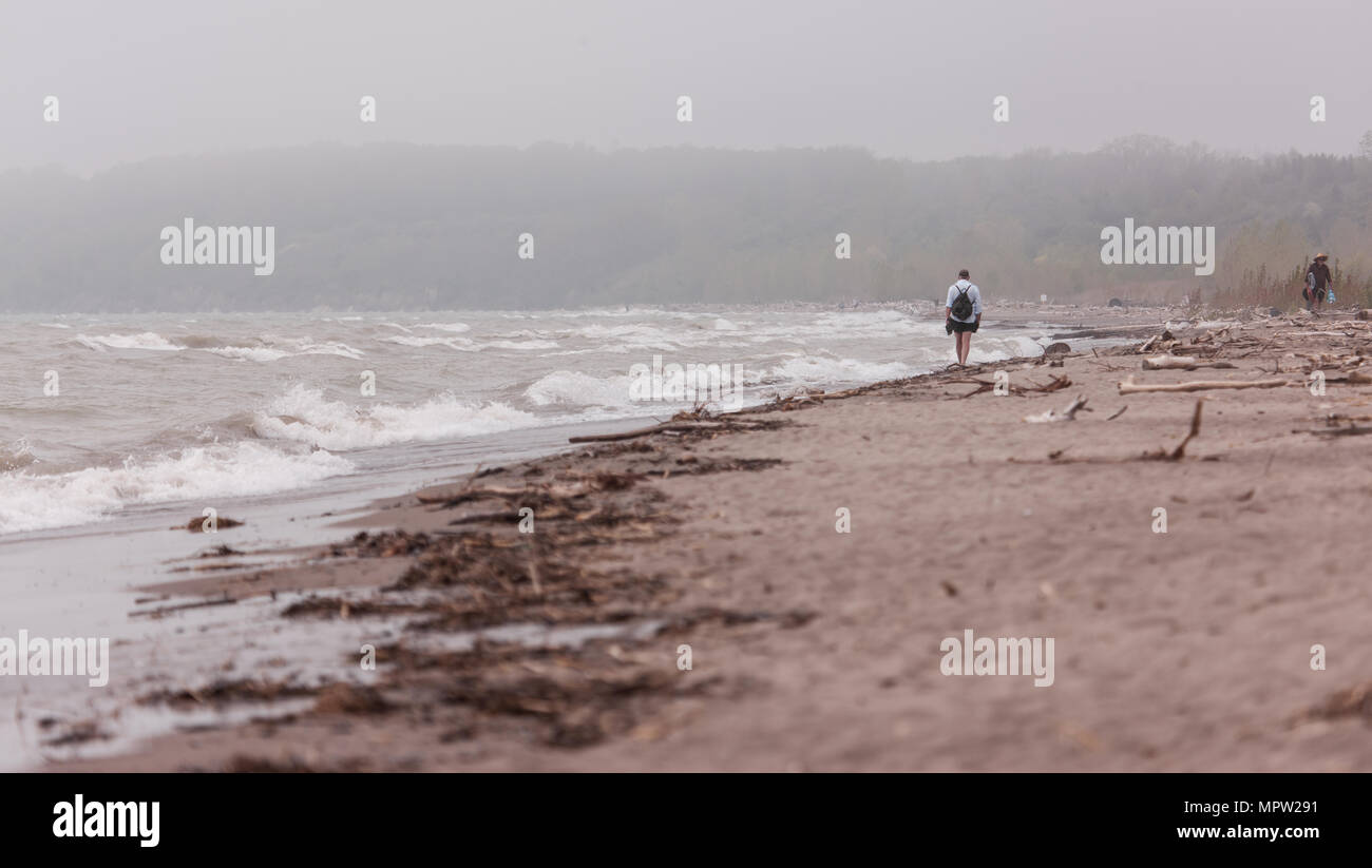 Debris litters the beach at Port Burwell Provincial Park on a foggy spring day. Stock Photo