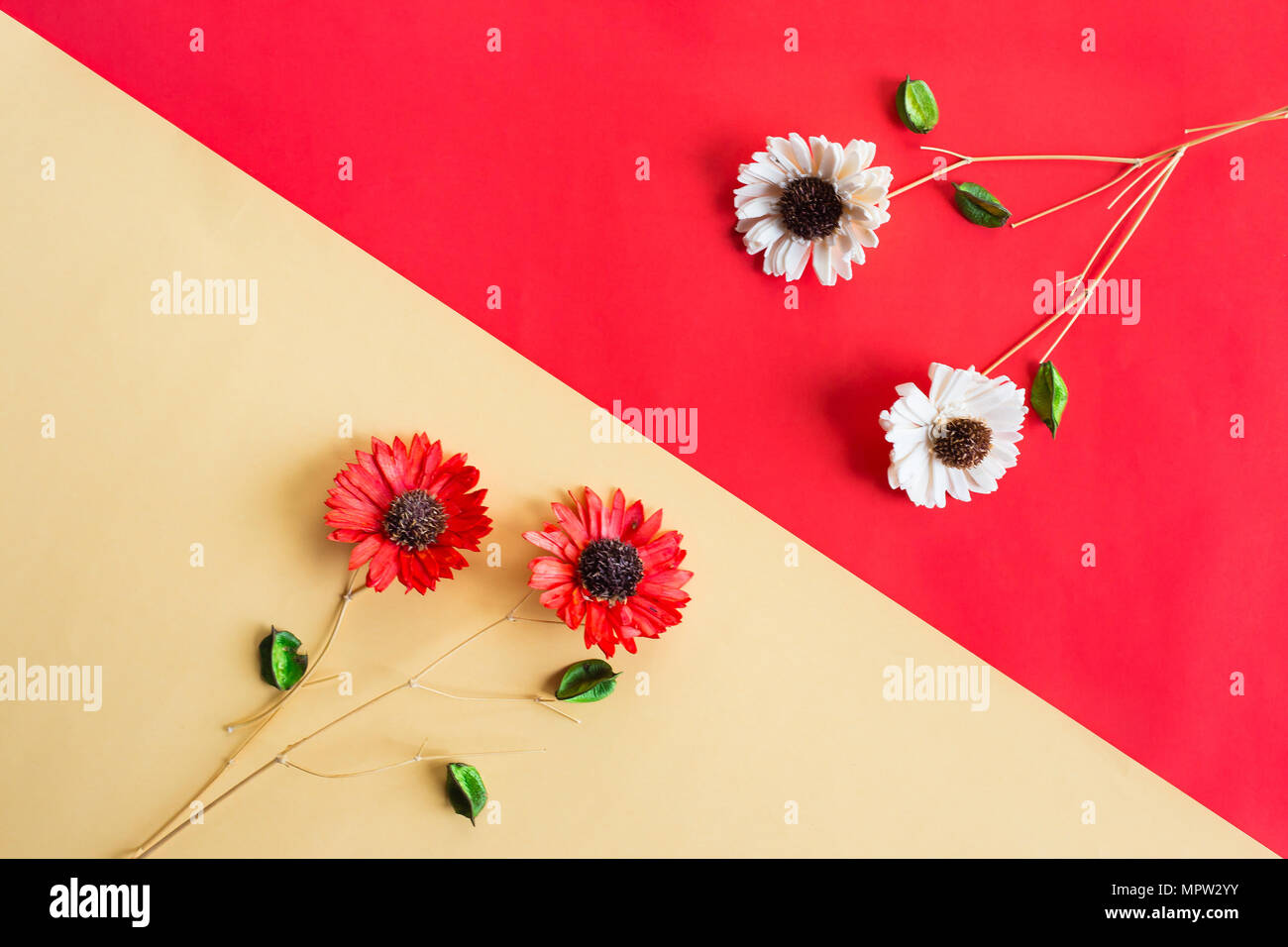 Contrast Color Of Flower Red And Yellow On Color Background Abstack Wallpaper Stock Photo Alamy