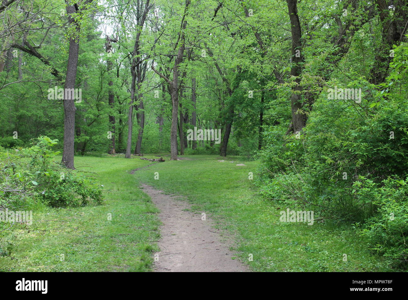 Trails in the woods near me