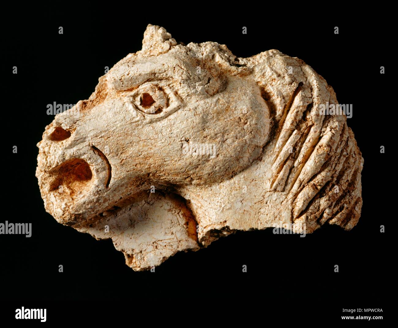 Plaster fragment of a horse's head from one of the ceilings, Berry