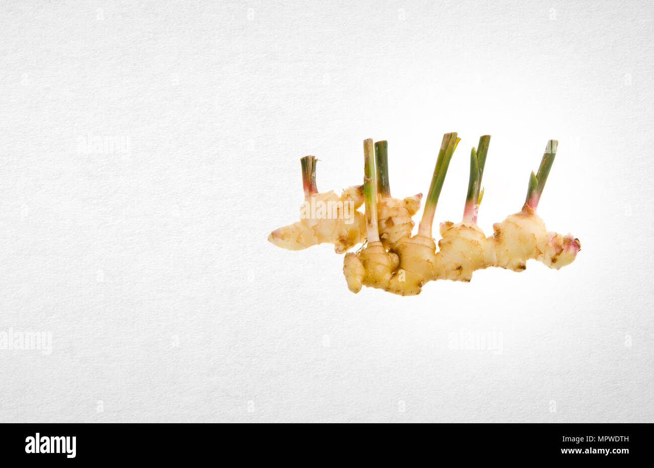 ginger or fresh ginger root on the background Stock Photo