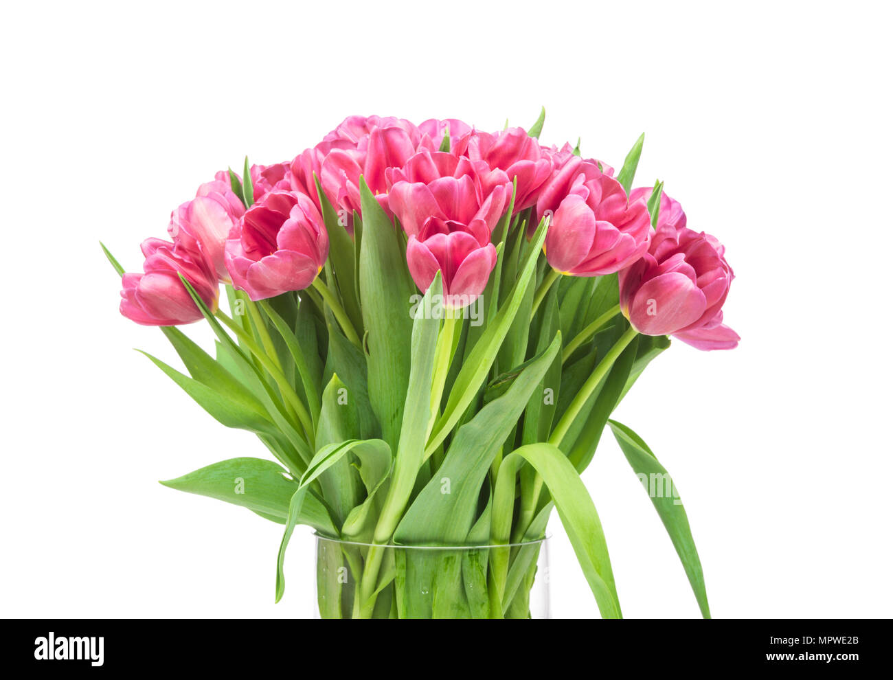 Bouquet of tulips flowers in the glass vase isolated on white ...