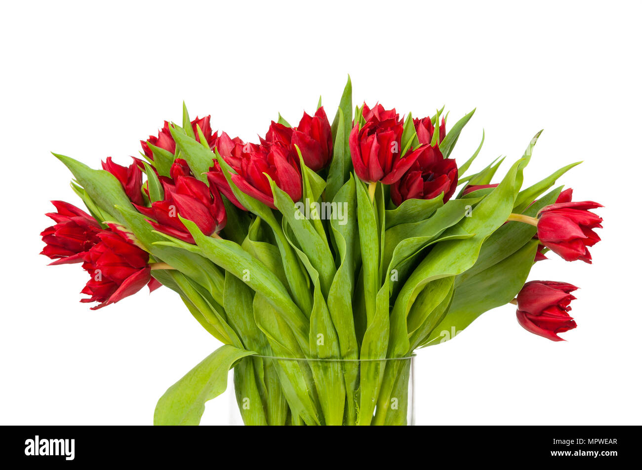 Bouquet of tulips isolated on white background Stock Photo - Alamy