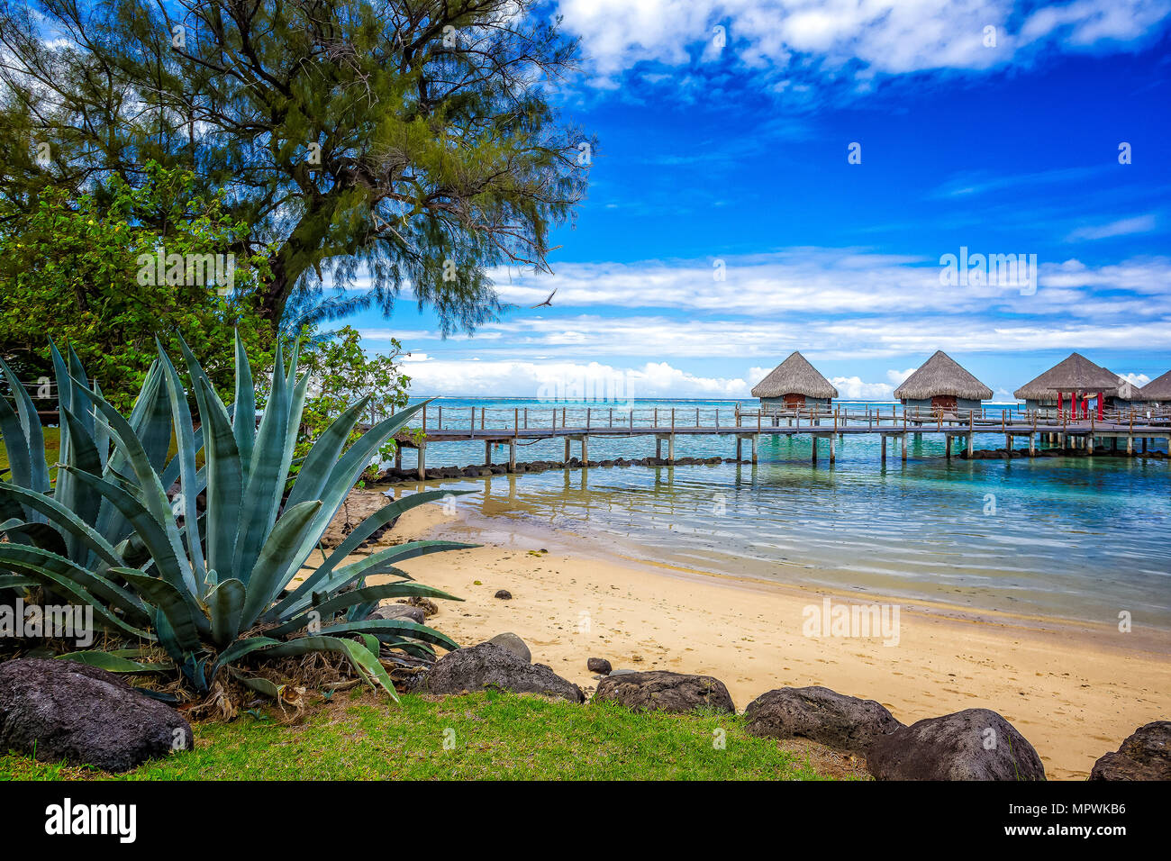 Tahiti bungalows hi-res stock photography and images - Alamy