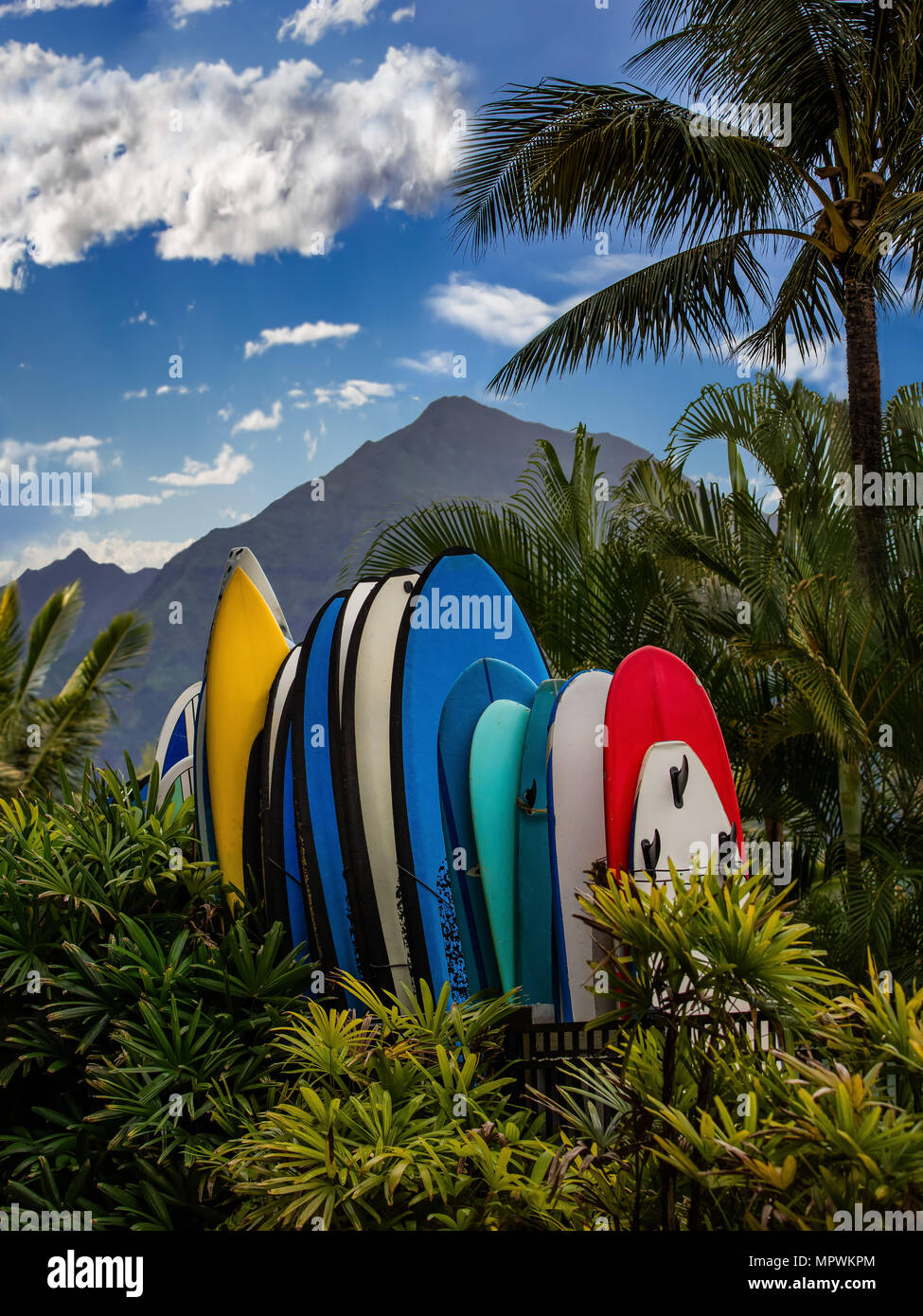 surf boards in Hawaii Stock Photo Alamy