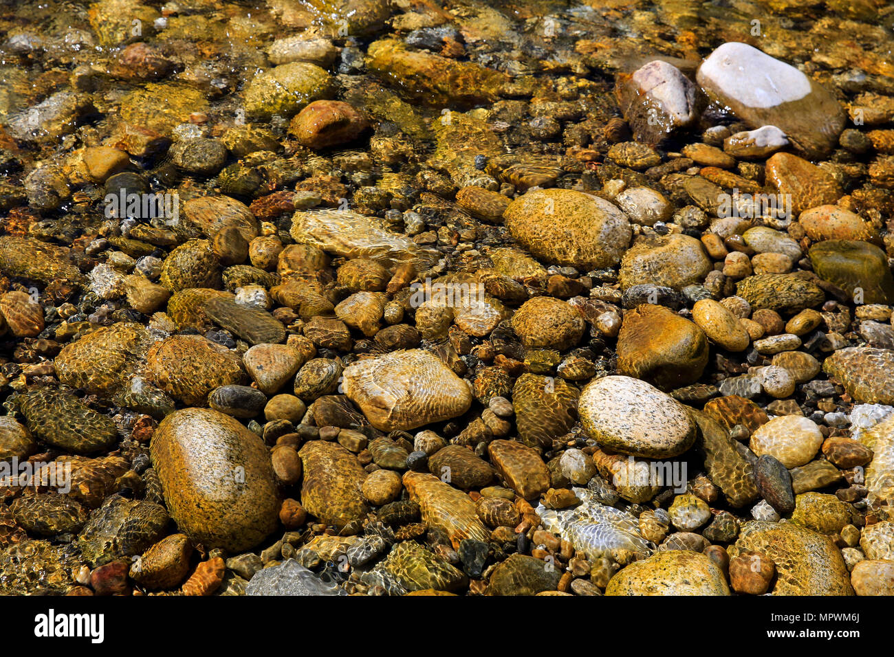Cristal clear water of Paro Chhu of Paro River. Paro, Bhutan Stock Photo