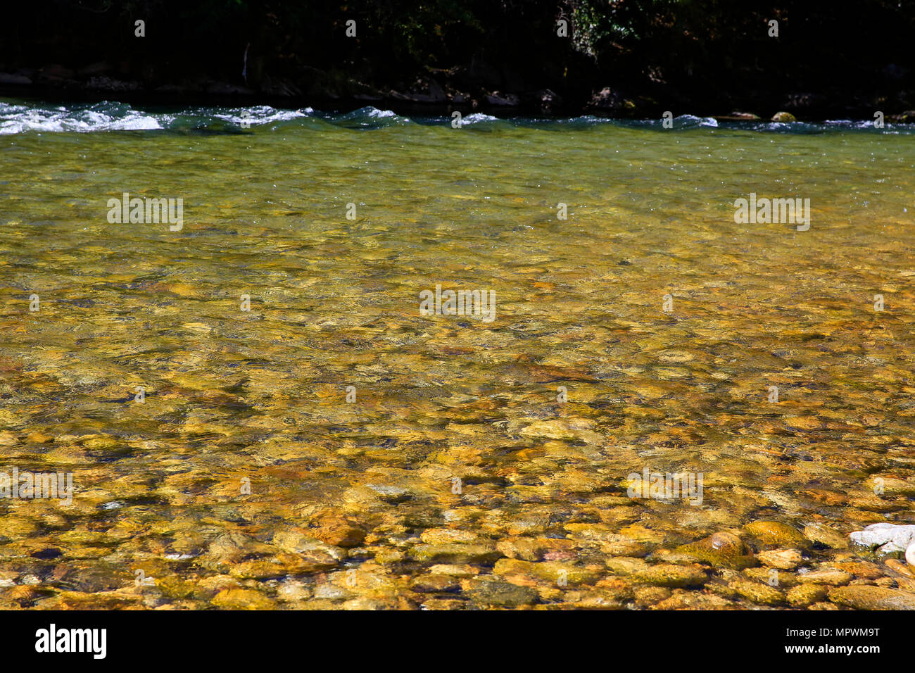 Cristal clear water of Paro Chhu of Paro River. Paro, Bhutan Stock Photo