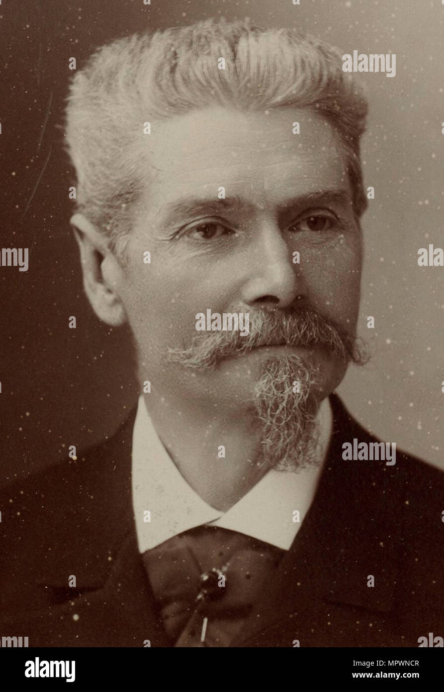 Portrait of the composer Charles-Wilfrid de Bériot (1833-1914), 1900. Stock Photo