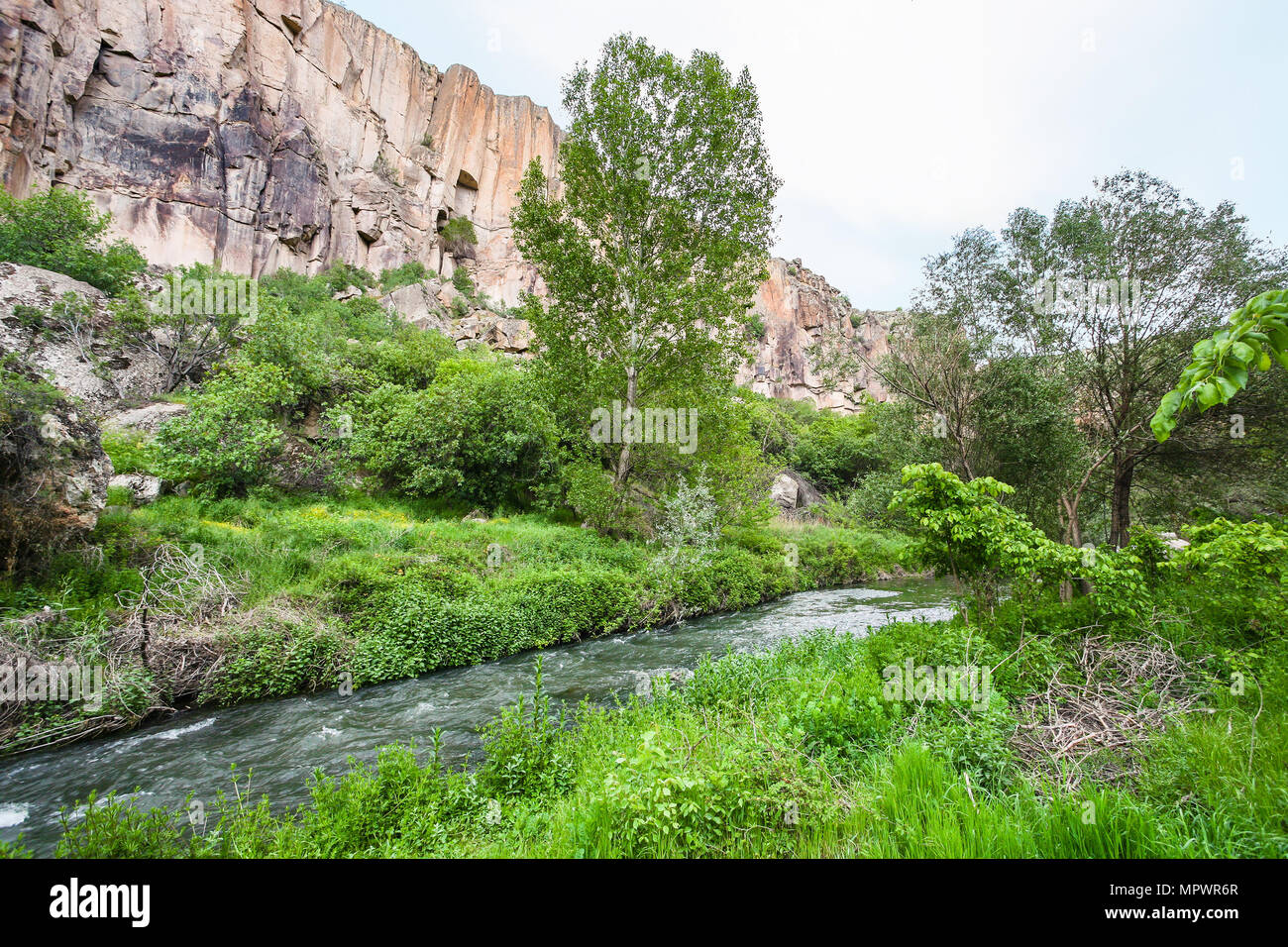 Travel to Turkey - Melendiz river in Ihlara Valley of Aksaray Province in Cappadocia in spring Stock Photo