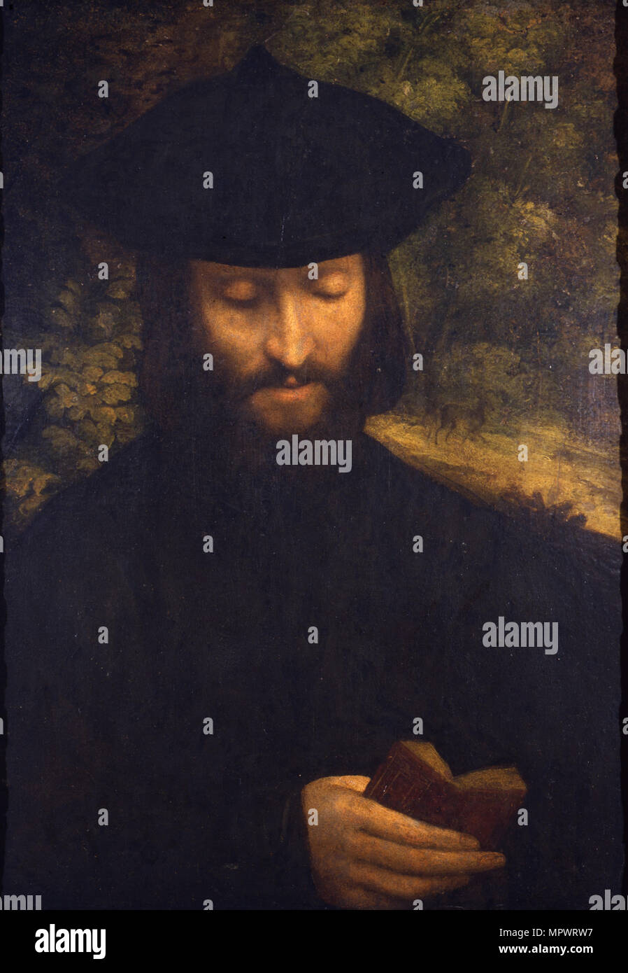 Portrait of a reading man, ca 1522. Stock Photo