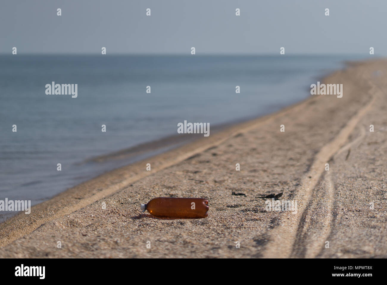 Empty plastic bottle lies on the seashore Stock Photo