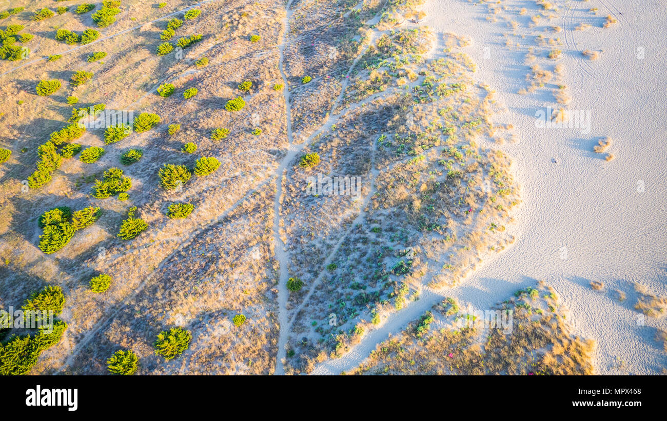 Bird's eye view of a path tthrought the dune with wild flora in tuscany near Viareggio, italy Stock Photo