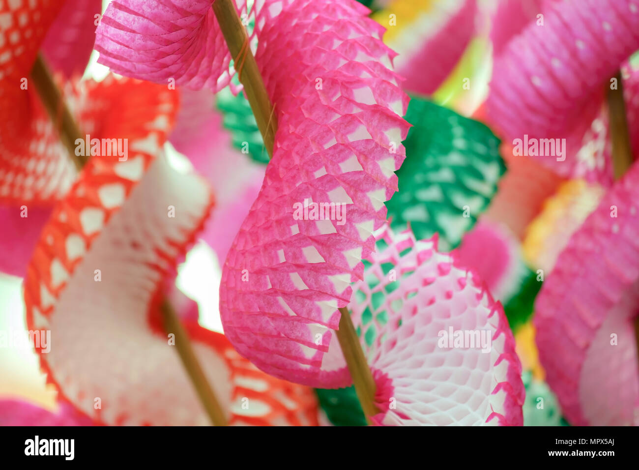 Close up chinese dragon toy, for chinese new year. Stock Photo