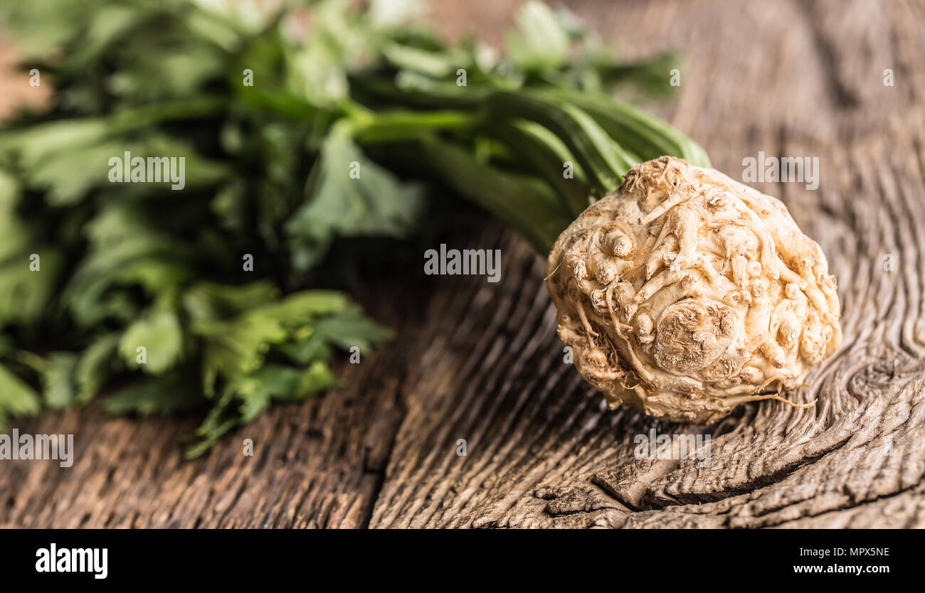 Fresh celery root with leaf on rustic oak table. Stock Photo