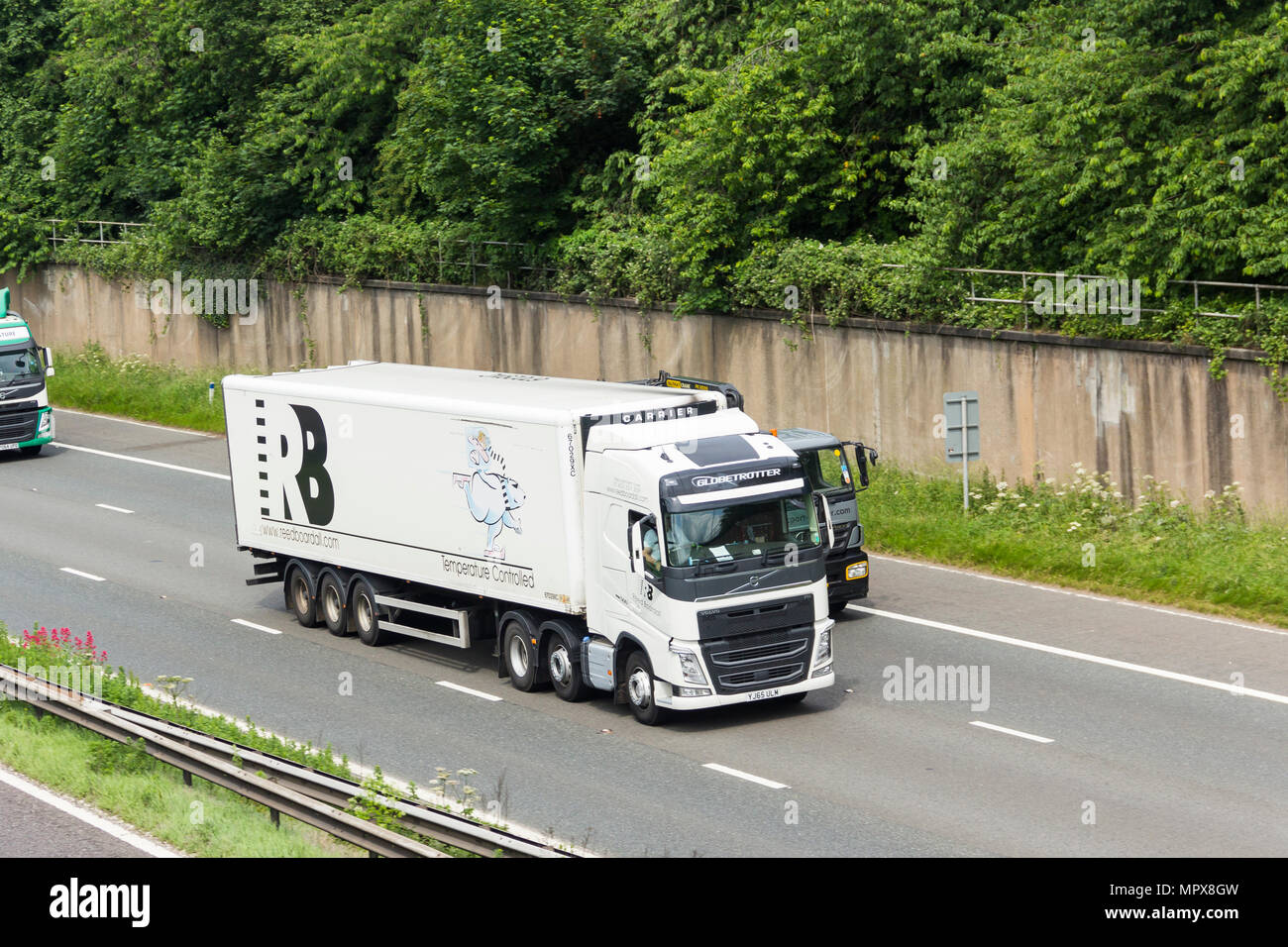 Reed Bordall refrigerated, temperature controlled articulated trailer coupled with a Volvo FH500 truck, travelling on the M61 motorway. Stock Photo