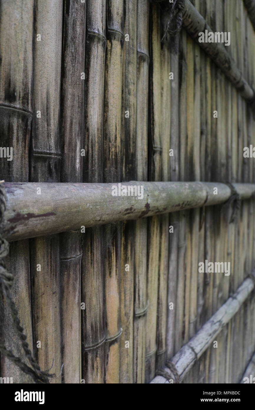 Close-up of a bamboo fence Stock Photo