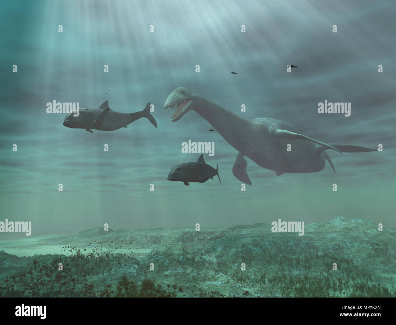 Plesiosaur chasing fish Stock Photo