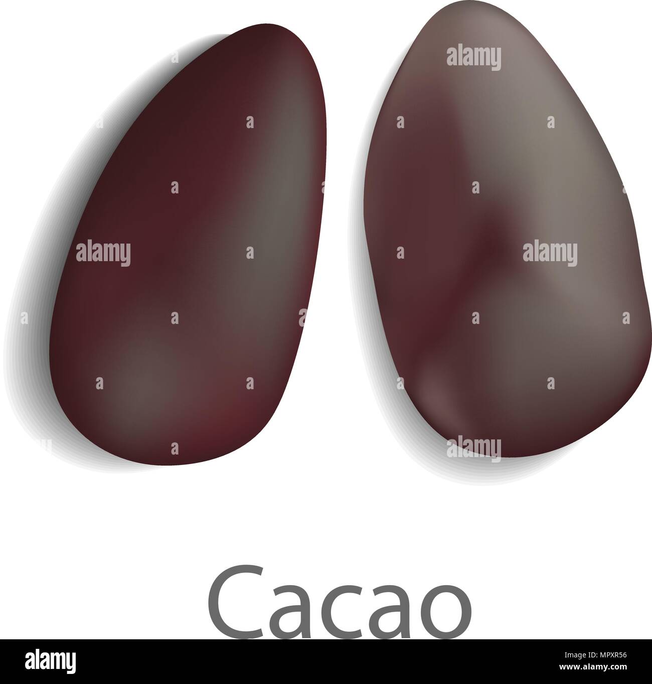 Cacao mockup, realistic style Stock Vector