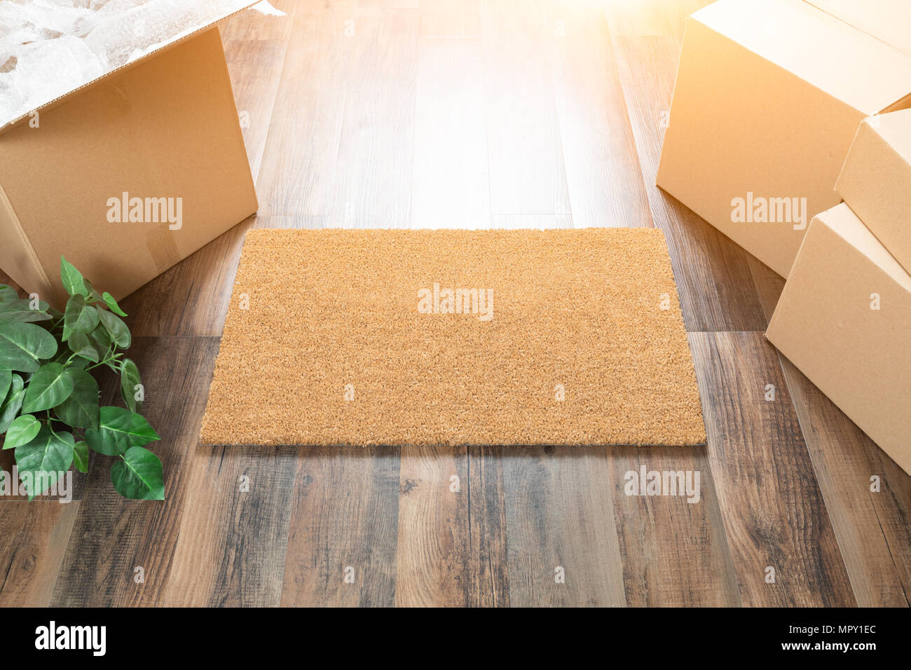 Blank Welcome Mat, Moving Boxes and Plant on Hard Wood Floors. Stock Photo