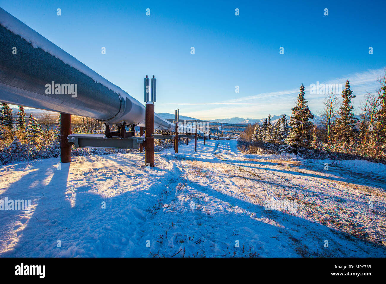 Trans-Alaskan Pipeline over field against sky during winter Stock Photo