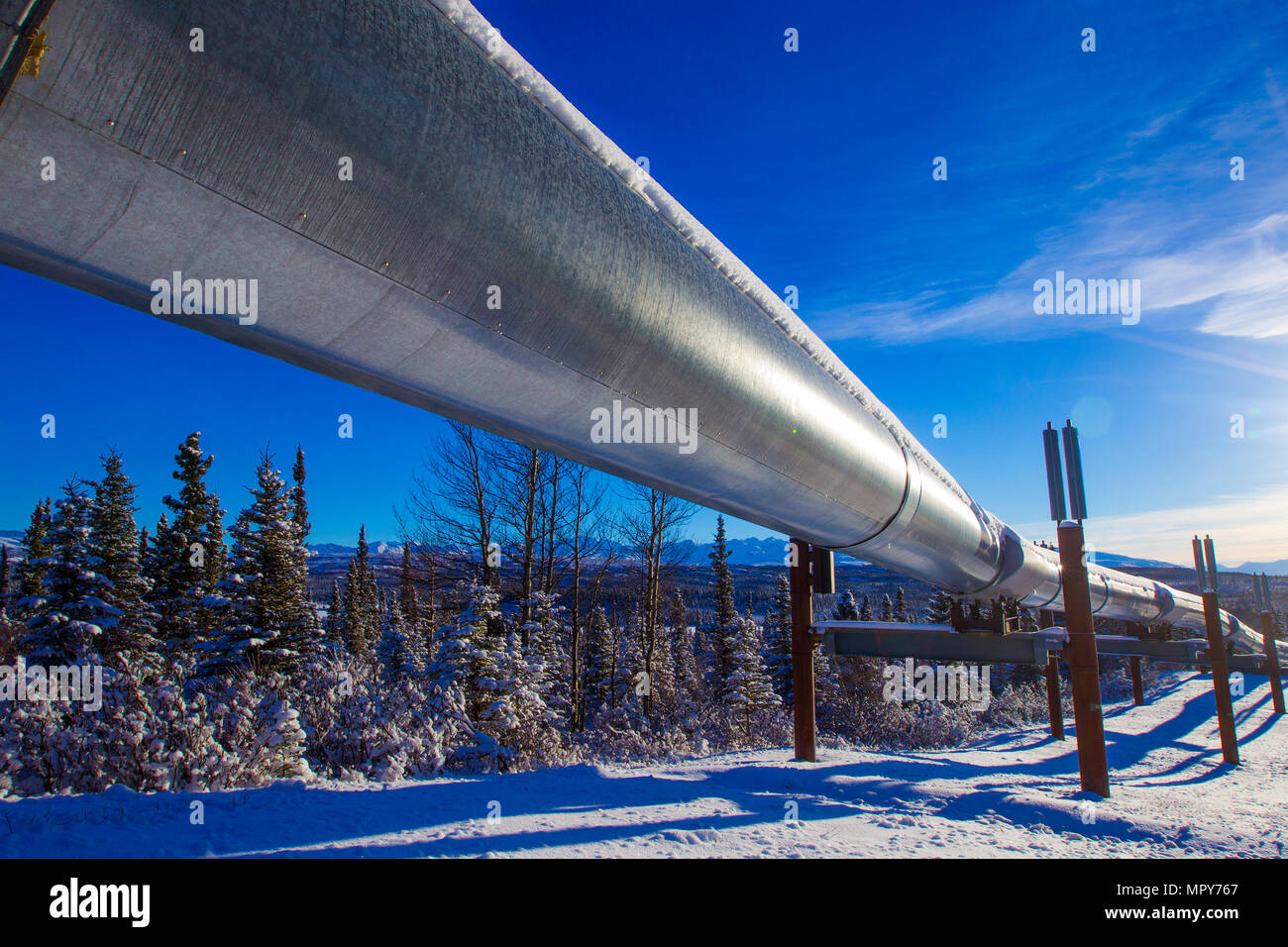 Trans-Alaskan Pipeline over field at forest against sky during winter Stock Photo