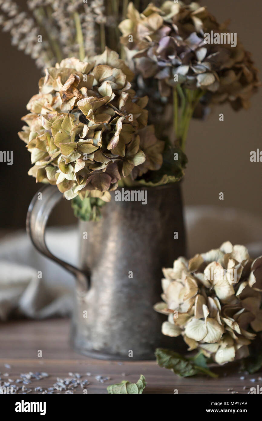 Dried hydrangea vase table hires stock photography and images Alamy
