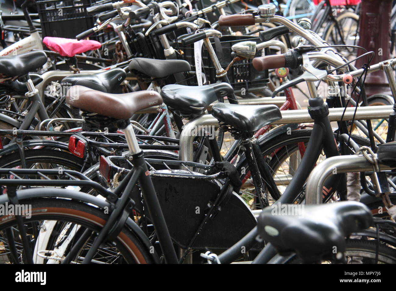 Dozens of bicycles are locked up along the side of a canal in Amsterdam, the Netherlands. Stock Photo