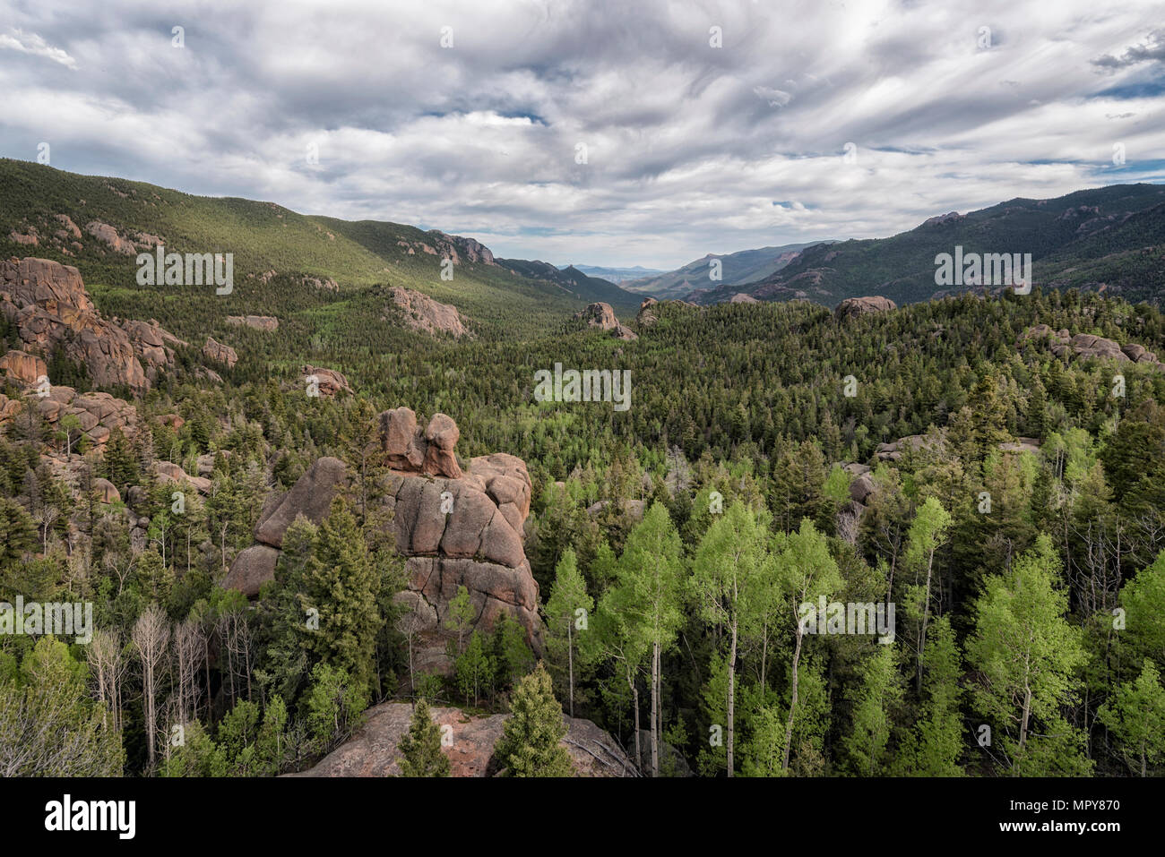 High angle view of trees growing in forest against cloudy sky Stock ...