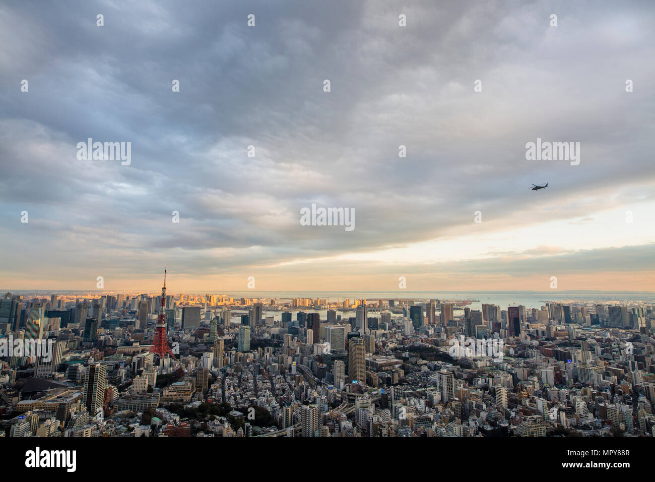 Cityscape tokyo sea hi-res stock photography and images - Alamy