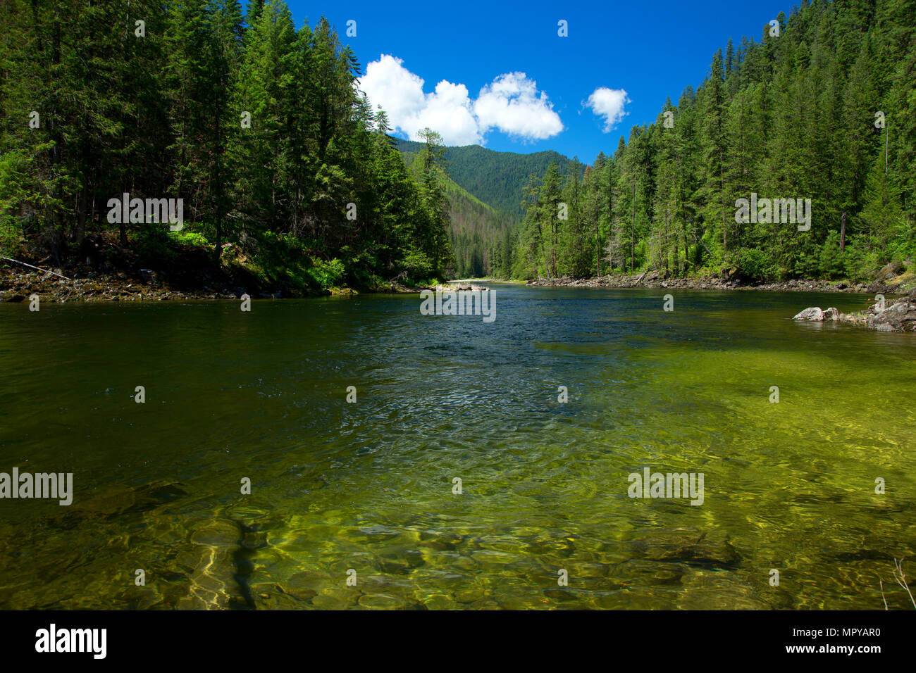 Selway River from Selway River Trail, Selway Wild and Scenic River, SelwayBitterroot Wilderness