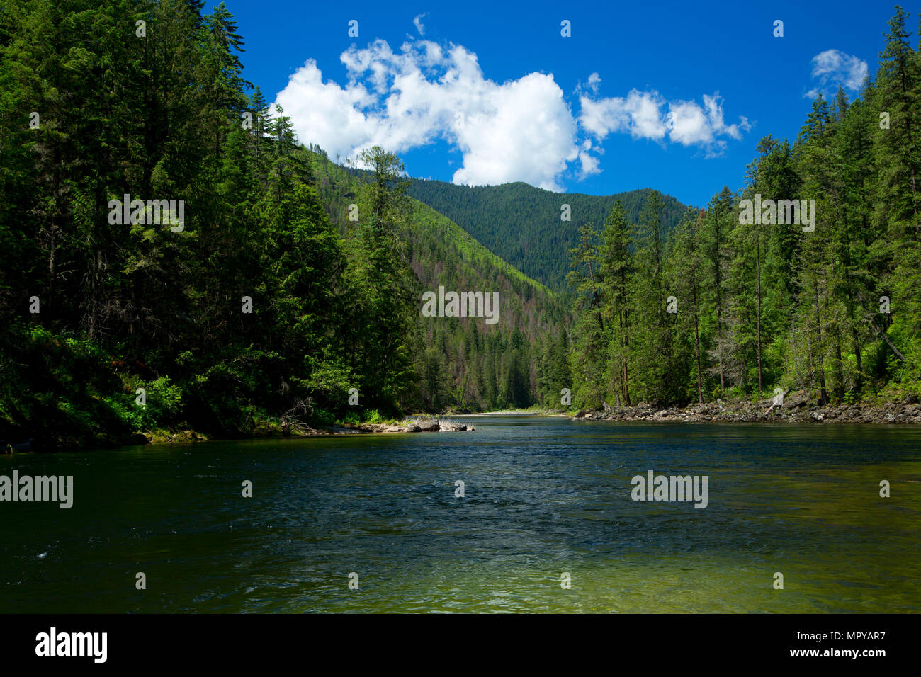 Selway River from Selway River Trail, Selway Wild and Scenic River